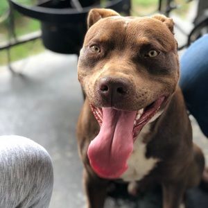 Meet your Posher, Kenya